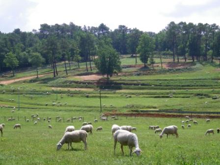 Image attach&eacute;e