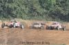 DSC_0133.JPG