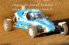 DSC_4875bisWEB.jpg
